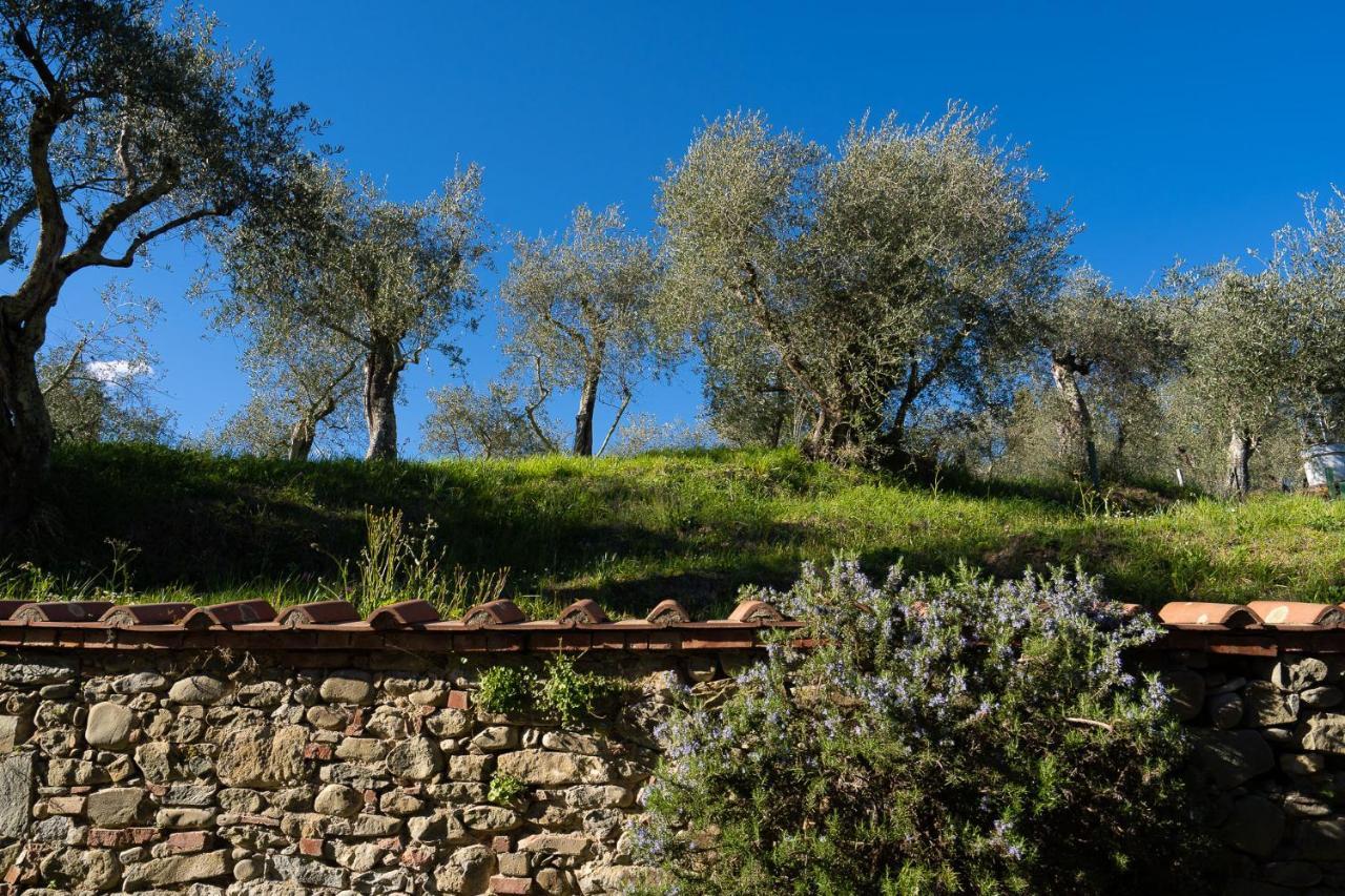 Alloggi In Villa Storica เปสเชีย ภายนอก รูปภาพ